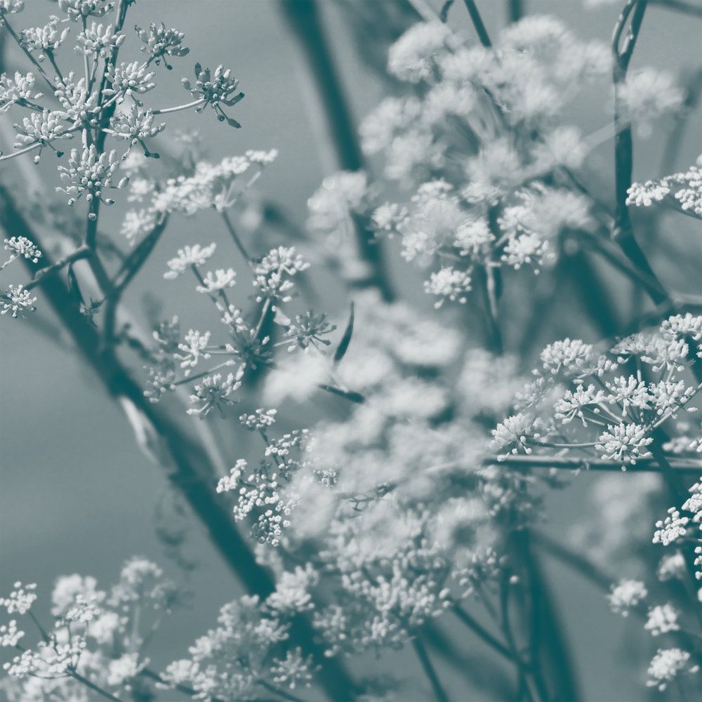 Album cover Theresa Wong - Journey to the Cave of Guanyin