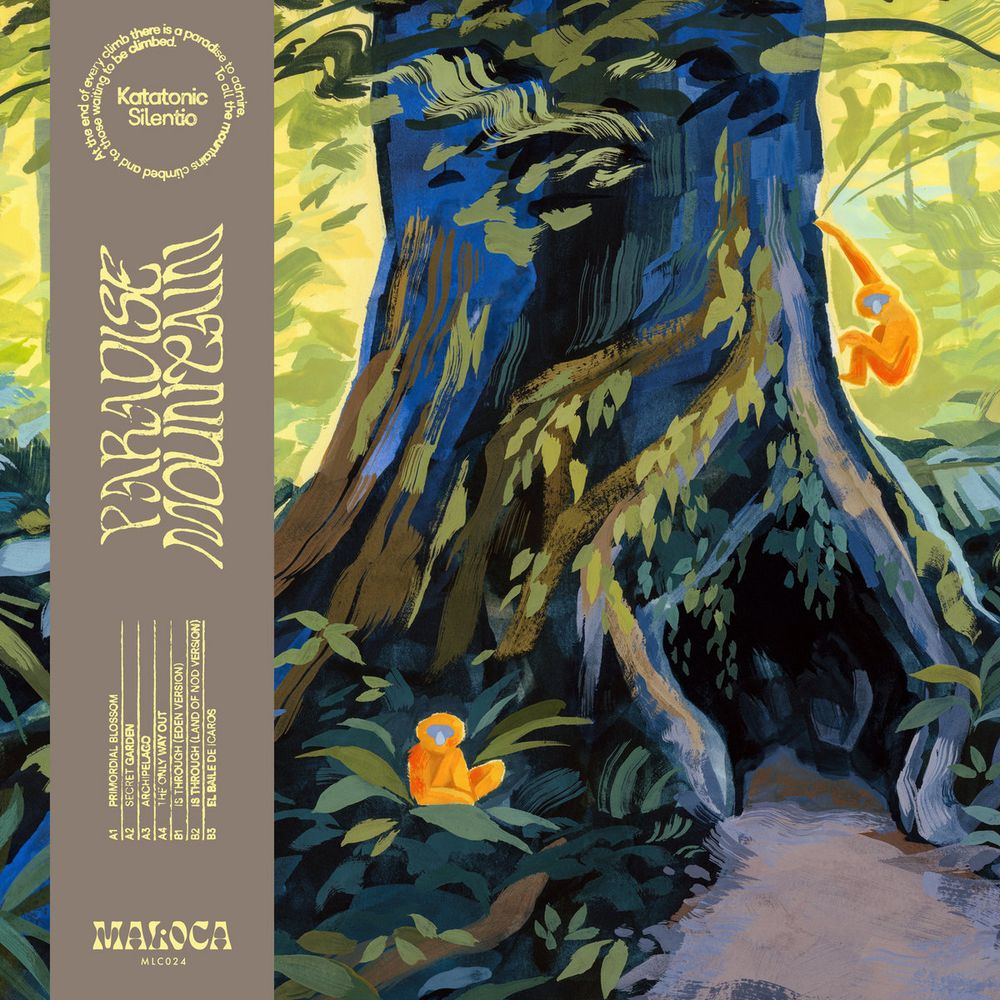 Album cover Katatonic Silentio - Paradise Mountain
