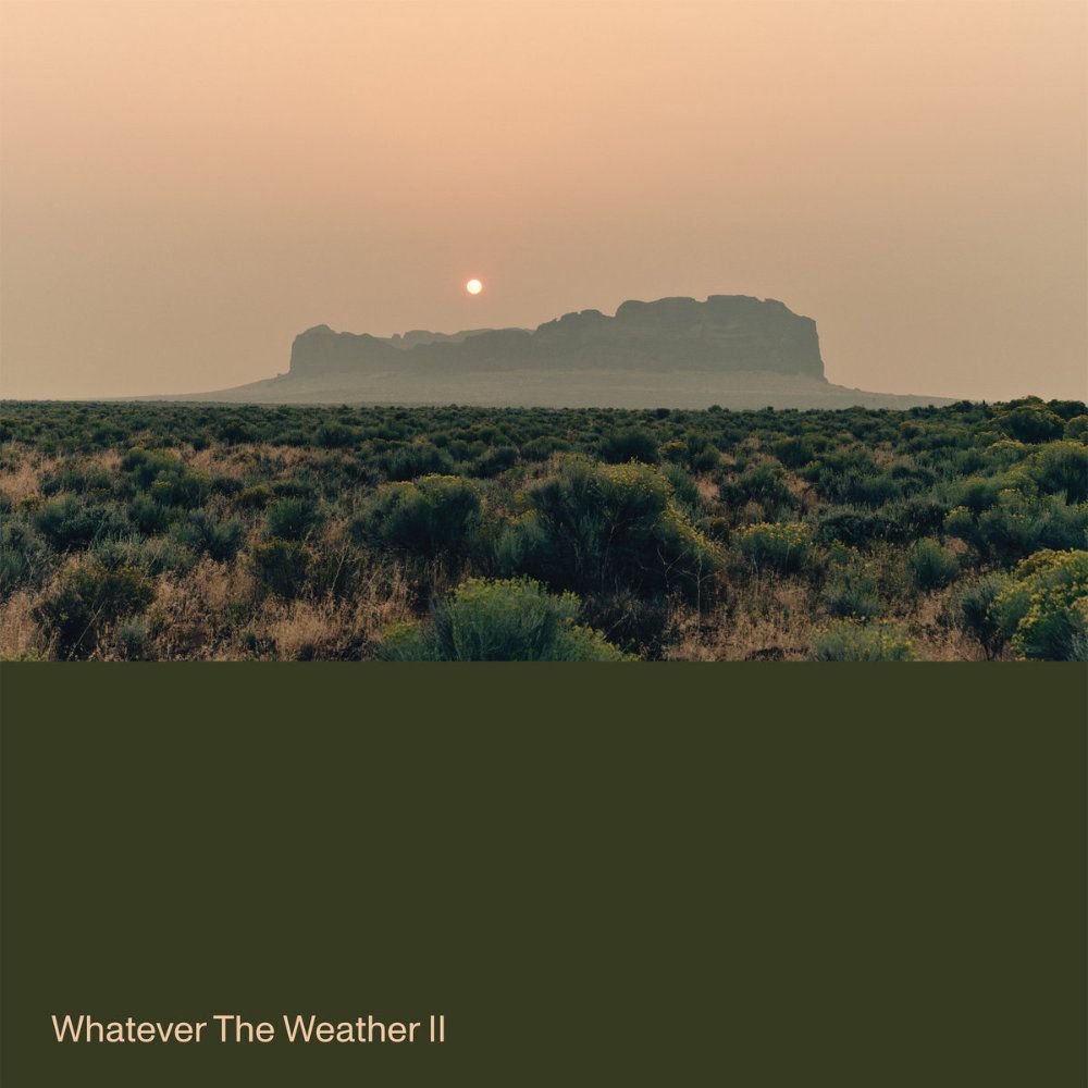 Album cover Whatever The Weather - Whatever The Weather II