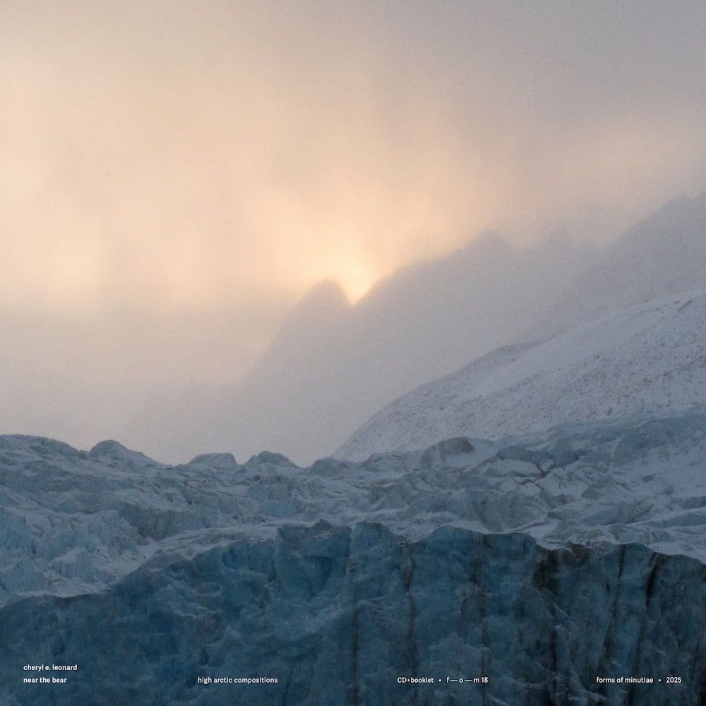 Album cover Cheryl E. Leonard - Near the Bear