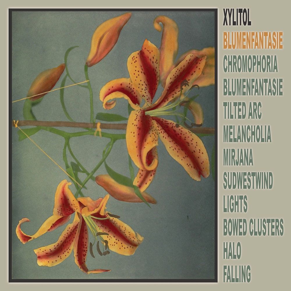 Album cover Xylitol - Blumenfantasie