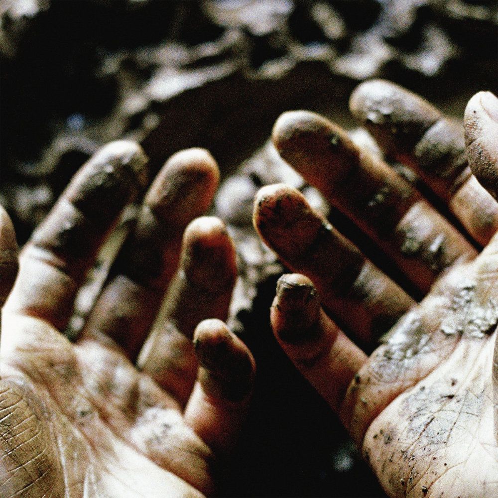 Album cover Dis Fig - What To Make Of These Mortal Hands