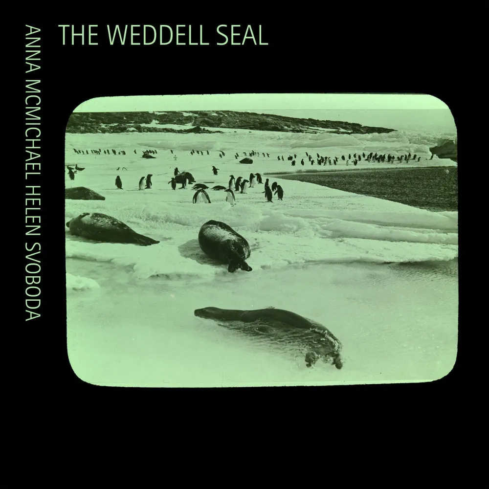 Album cover for The Weddel Seal by Anna McMichael and Helen Svoboda
