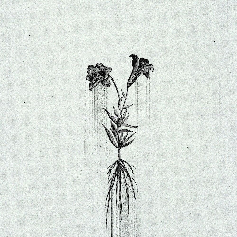 Album cover Penelope Trappes - Æternum