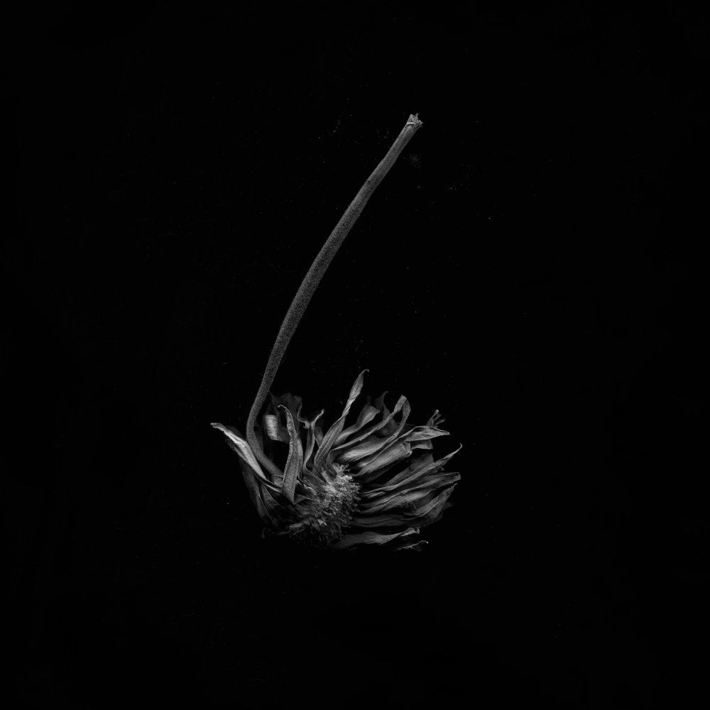 Album cover Agnes Haus - Eidolon