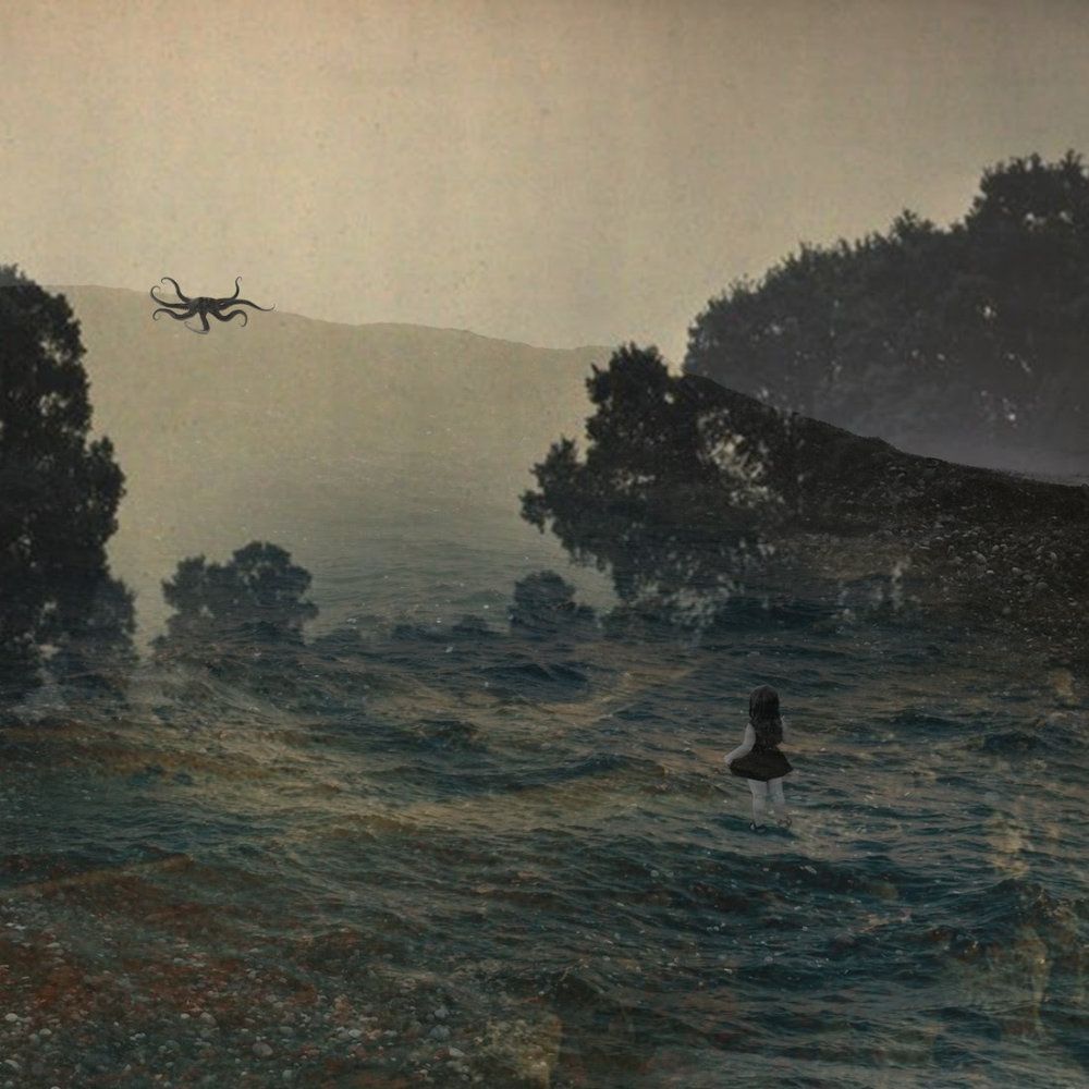 Album cover Ani Zakareishvili - Neither in the sky nor on the ground