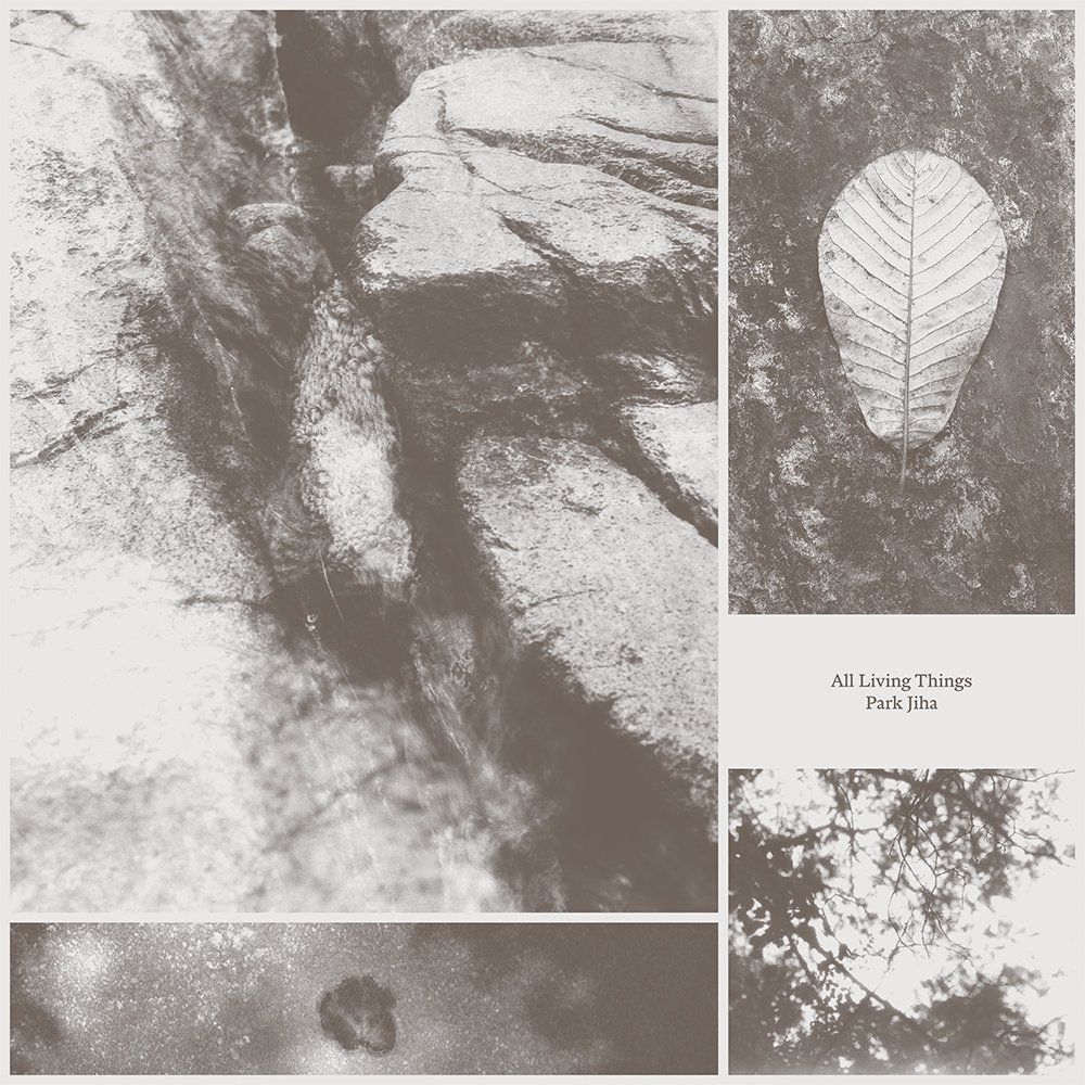 Album cover Park Jiha - All Living Things