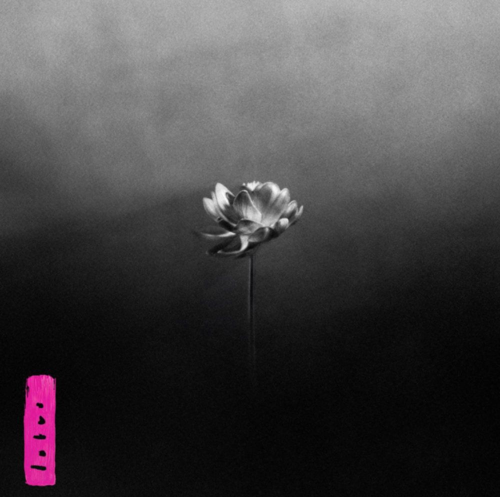 Album cover Little Simz - Lotus