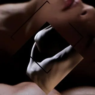 Album cover for Movement by Holly Herndon