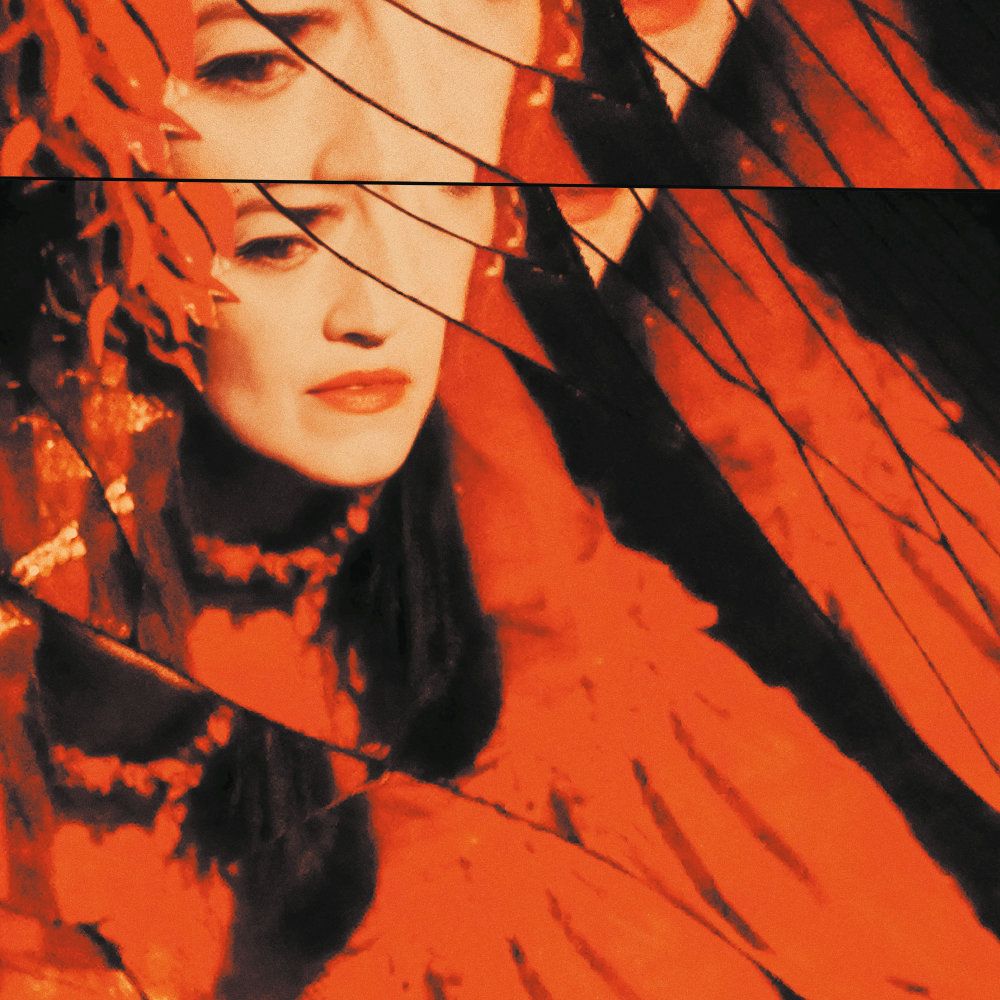 Album cover VÍZ - Danse des Larmes