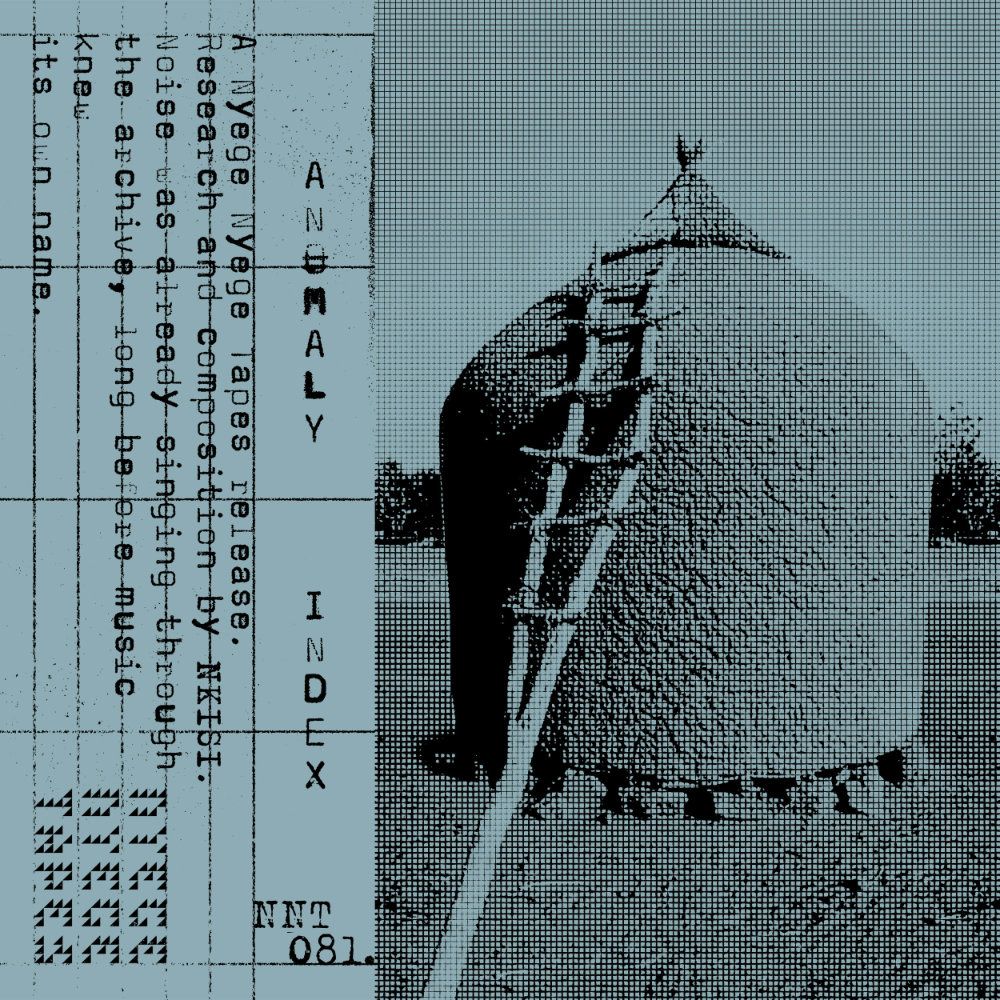 Album cover Nkisi - Anomaly Index