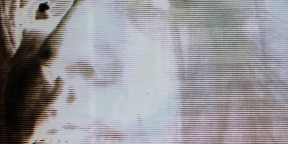 img of Bergsonist - Bergsonist