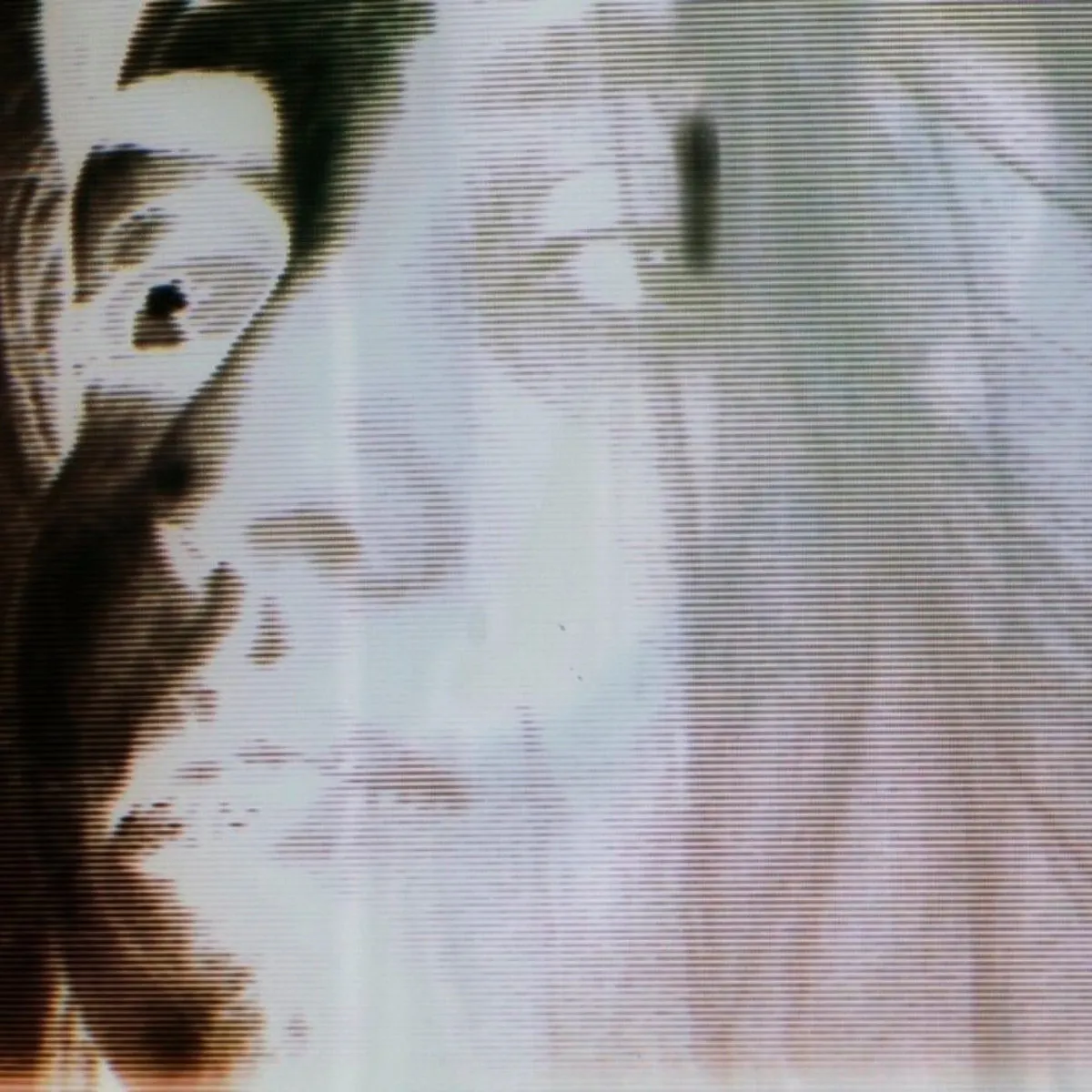 Album cover for undefined by undefined