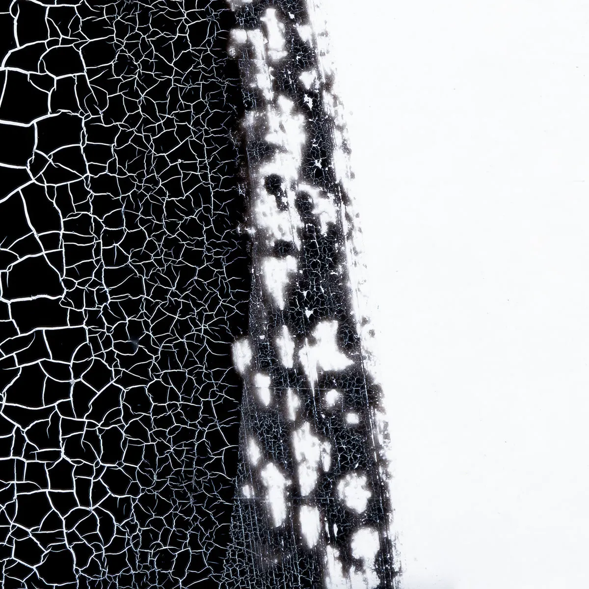 Album cover for undefined by undefined