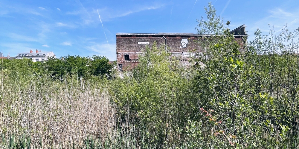 img of Dissonant #5 on Radio Vacarme