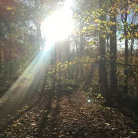 img of Dissonant #7 on Radio Vacarme