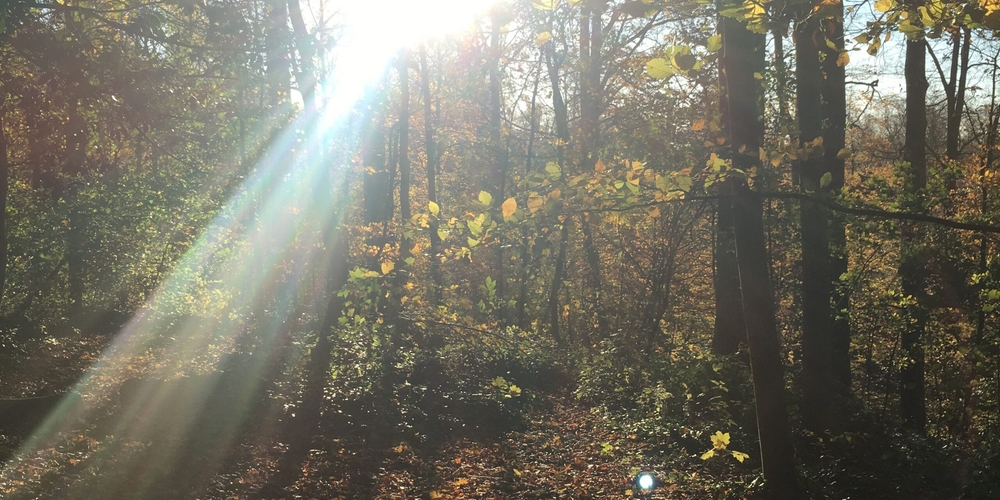 img of Dissonant #7 on Radio Vacarme