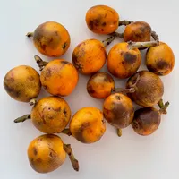 img of Dissonant #34 – Radio Vacarme