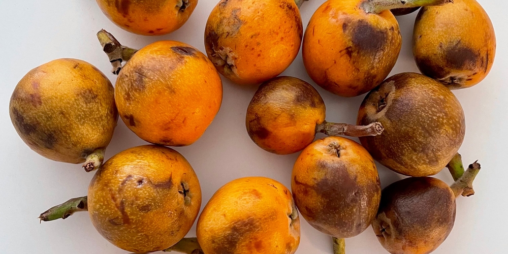 img of Dissonant #34 – Radio Vacarme